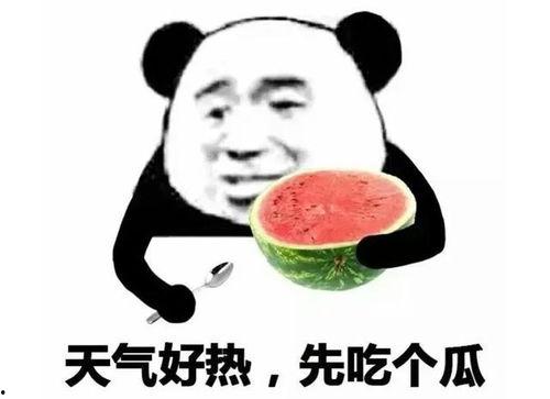 吃瓜人物表情包,揭秘网络社交中的喜怒哀乐